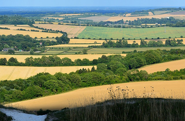 View to the East from Beacon Hill, Hampshire
