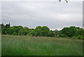 Farmland, Outwood