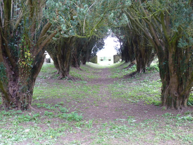 Yew Tree "nave", Old St Mary's Church site, Woodchester