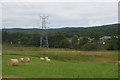 Fields and pylons at Boat of Garten