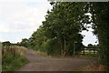 Low Lane looking east past the track to Low Grange Farm