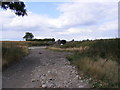 TM3269 : Footpath to the former Badingham Hall, Punchard's Farm & Wood Farm by Geographer
