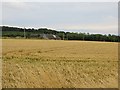 Arable land, Kingennie