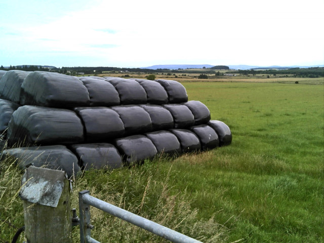 Wrapped bales sitting in the field