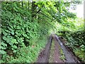 Road, Acre Valley