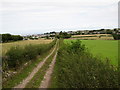 Footpath towards Berth-y-bwl