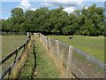 Footpath, Wraysbury