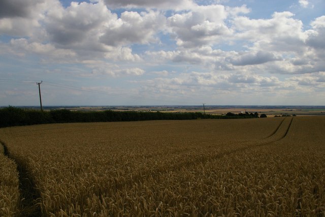 View southwards off Mardon Hill