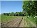 The Wolds Way near Londesborough