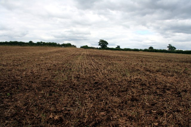 A barren field near Longford