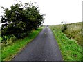 H4593 : Road at Cruckaclady by Kenneth  Allen
