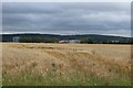 Field off Little Marcle Road