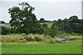 ST0713 : Mid Devon : Grassy Field & River Culm by Lewis Clarke