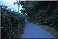 ST0713 : Mid Devon : Country Lane by Lewis Clarke
