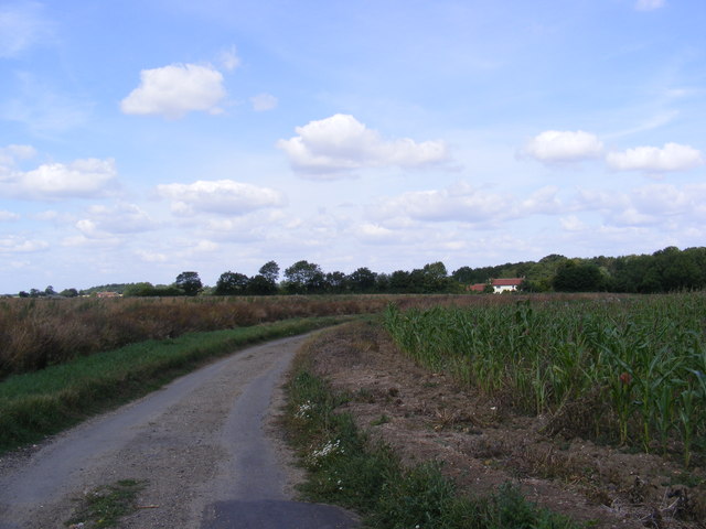Druids Lane, Shelfanger