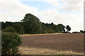 Hungram Gorse (now mostly pines) from the A158