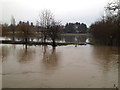 SP2965 : River Avon by Emscote Gardens, Warwick 2012, November 24, 08:31 by Robin Stott