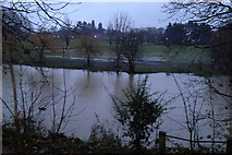 SP2965 : River Avon by Emscote Gardens, Warwick 2012, November 24, 16:09 by Robin Stott