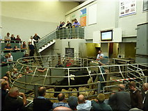 SK2268 : Cattle auction at the Agricultural Business Centre by Basher Eyre