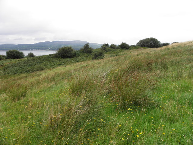 Binalt, Inch Island © Kenneth Allen :: Geograph Ireland