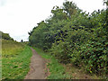 Path, Target Hill local nature reserve