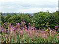 View from Target Hill local nature reserve