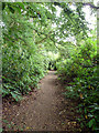 Public footpath 1545, Broadfield, Crawley