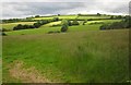 Countryside near Brompton Regis