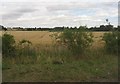 Farmland by the A405