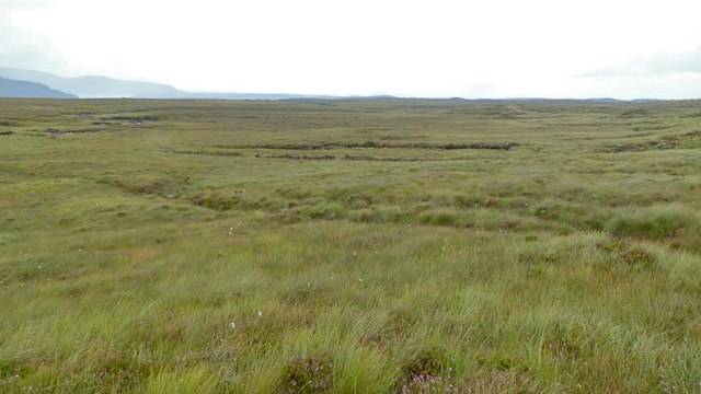Peat moorland near Durness