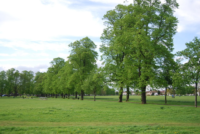 Figge's Marsh © N Chadwick :: Geograph Britain and Ireland