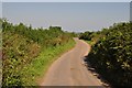 Mid Devon : Country Lane