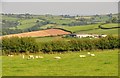 Mid Devon : Countryside Scenery