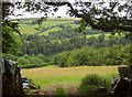 Towards the Exe valley