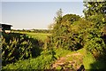 Mid Devon : Country Track