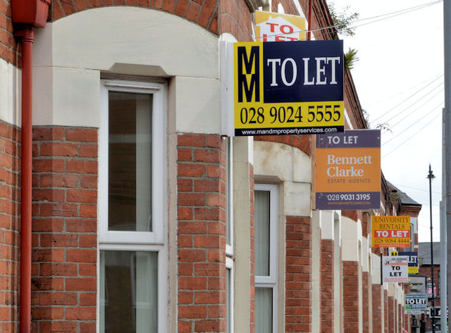 "To let" signs, Belfast (2013)