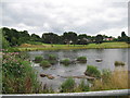 From water supply to wildlife - Witton Lakes, Birmingham
