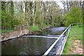 Weir, River Arrow above Washford Drive Bridge, Redditch