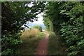 Footpath above Shire Brook Valley