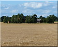 Derelict Barn Farm hidden in the trees