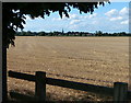 Farmland near Witherley