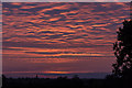 TQ3095 : Beautiful Sunrise, London N14 by Christine Matthews