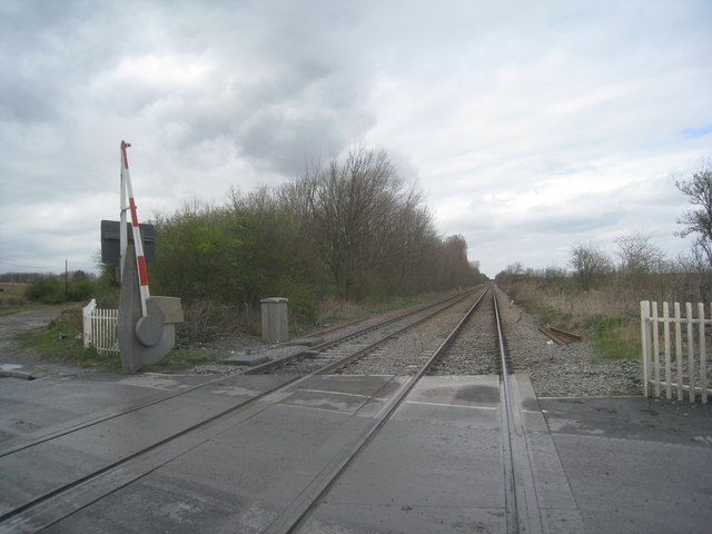 The line at Cridling Stubbs level crossing (2)