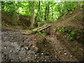 On the Llwybr Maelor Way