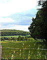 Countryside view from North Deeside Road