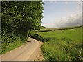 Lane near Beech Tree Cottage