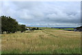 Farmland at West Brockloch