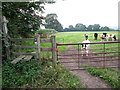 The Llwybr Maelor Way