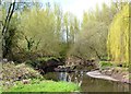 Bend of the River Arrow below Washford Drive bridge, Redditch