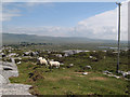 L9536 : Moorland sheep by Jonathan Wilkins